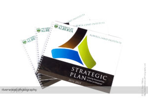 Product Photography for Little Red