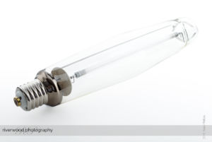 Rambridge Light Bulbs