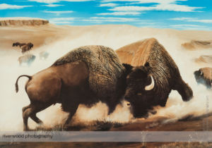 Professional Product Photography of Fine Art Prints