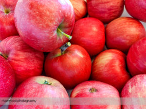 Food Photography by Calgary Product Photography